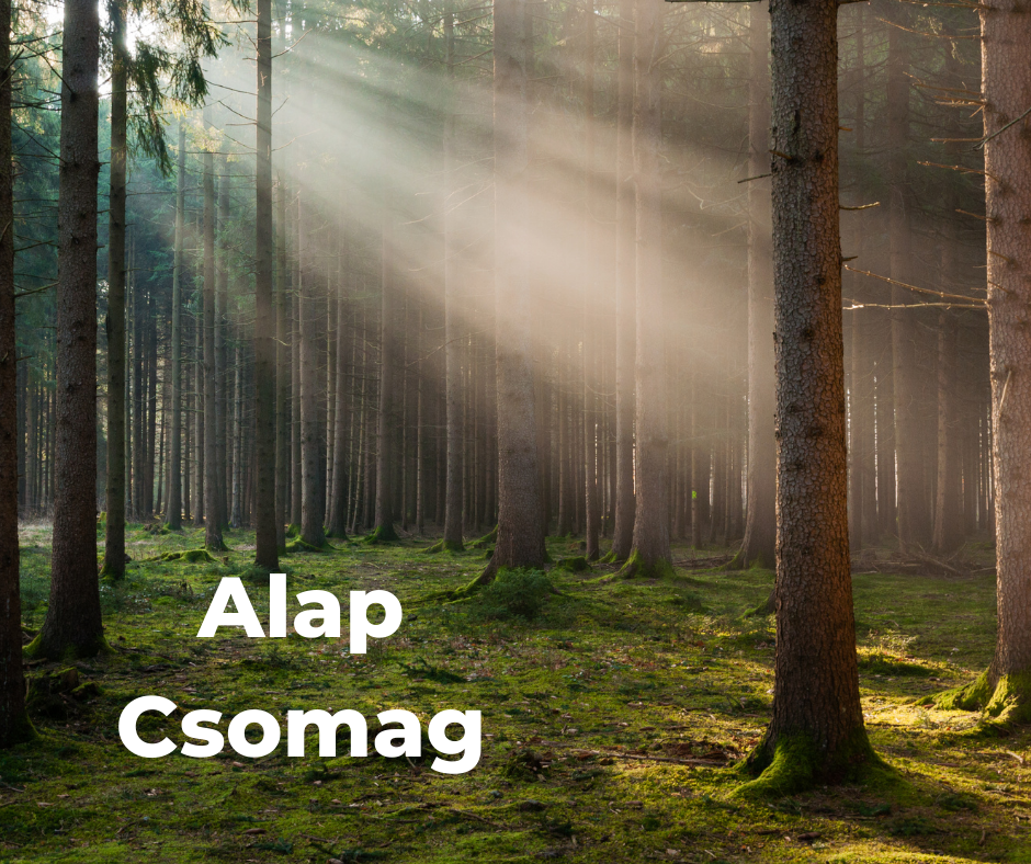 You are currently viewing Alap csomag